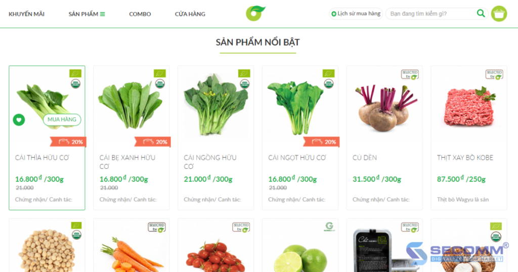 the path to creating comprehensive egrocery websites