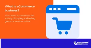 8 Steps to Start a Sustainable eCommerce Business-What is eCommerce business