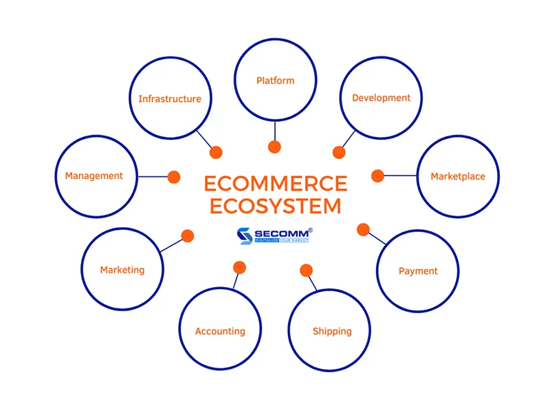 Ecommerce ecosystem grasping for efficiently business-driven-Key components in the ecommerce ecosystem