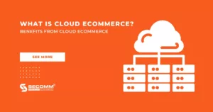 What is Cloud eCommerce Benefits from Cloud eCommerce