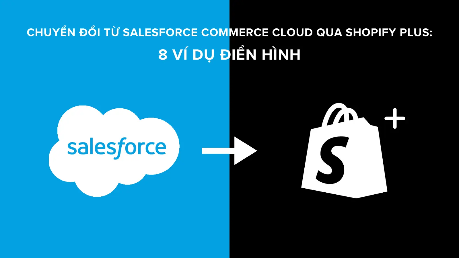 Chuyển Đổi từ Salesforce Commerce Cloud qua Shopify Plus: 8 Ví dụ Điển Hình