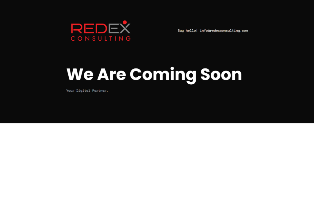 RedEx Consulting 1